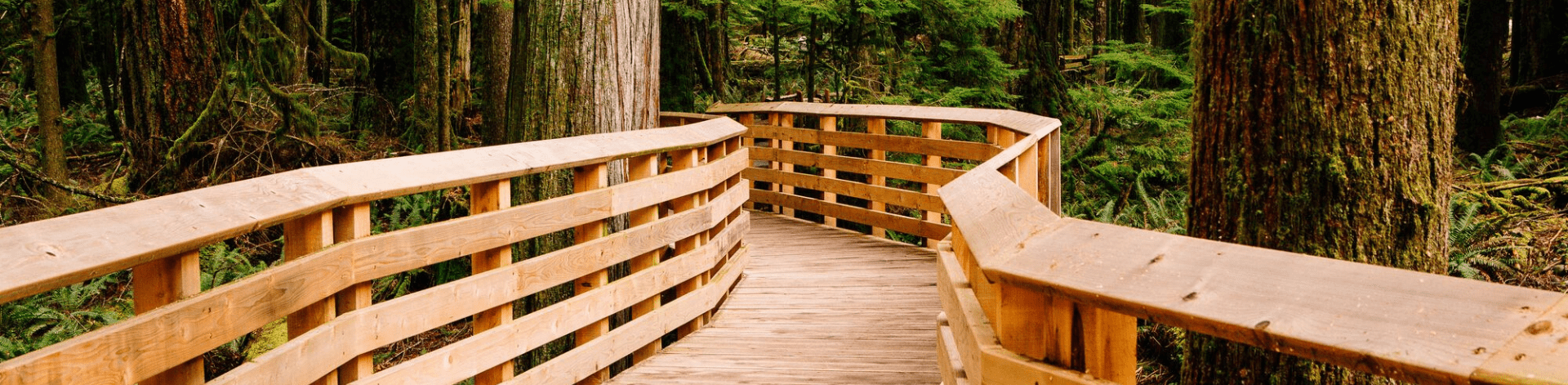 À quelle fréquence faut-il traiter le bois d'extérieur ? Un guide 