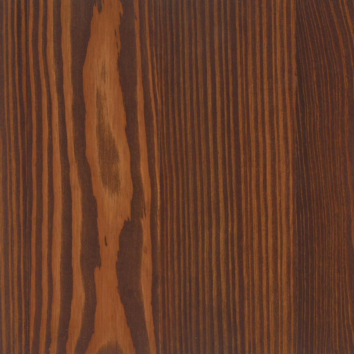 Larch