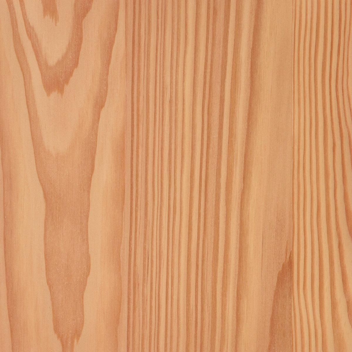 Larch