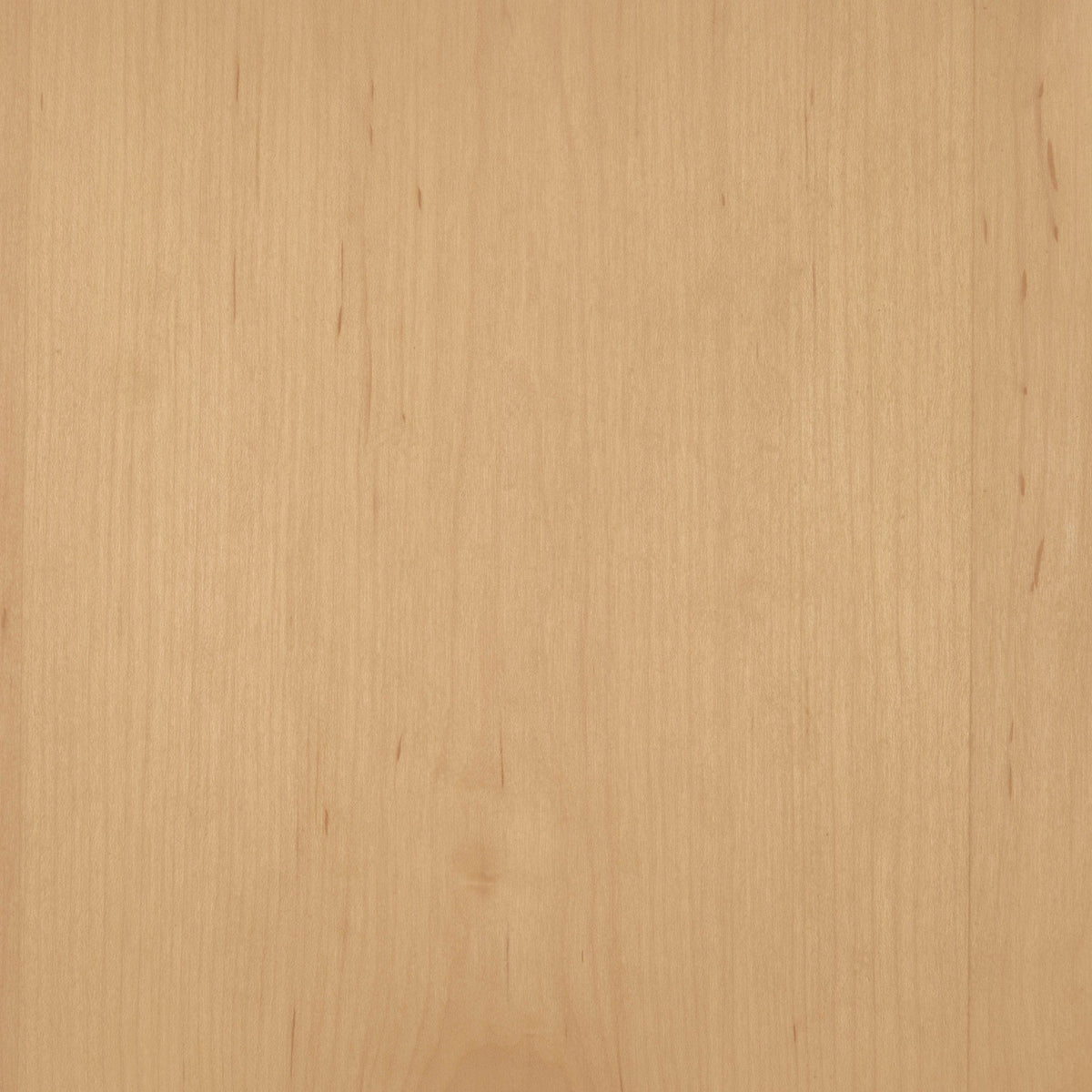 Maple